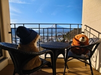 #早安安 #淫液中