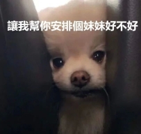 🥺