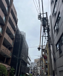 依舊走在這座充滿故事的城市中，每一步都帶著新的期待