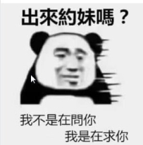 🇯🇵 名前：椎名小雪