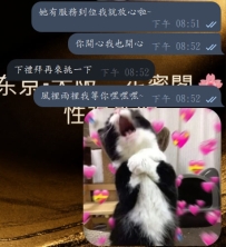 #大阪今日性福反饋