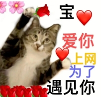 #東京無照紅牌性福約約至上