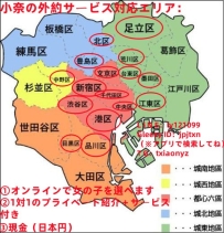 今田奈野子・東京ホテル出張デリバリーサービス：