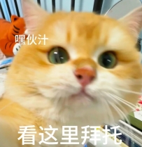 近期很多哥哥都會詢問「能不能指定女優」這件事