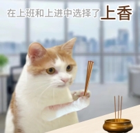 今日有財神哥哥嗎😘