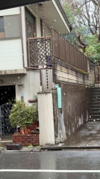好冷啊 東京都下雪了❄️