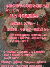 今田奈野子の幸福な東京出張サービス~