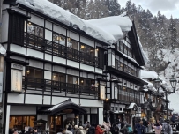 不白來~不白來~